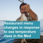 Restaurant menu changes in response to sea temperature rises in the Med