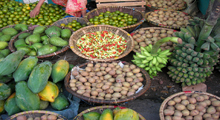 Expanding Conservation Impact through Enterprise Development (EXCITED)