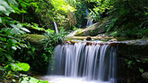 Strengthening the mitigation hierarchy for greater conservation gains