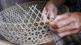 INTRINSIC: Integrating rights and social issues in conservation