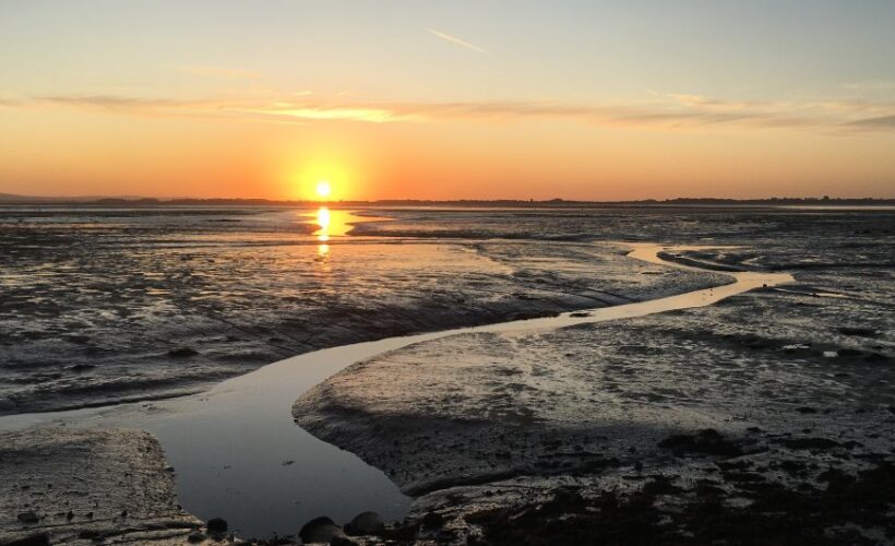 CCI’s Endangered Landscapes & Seascapes Programme receives $72 million gift for ecosystem restoration across Europe