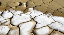 Putting climate change adaptation into conservation practice