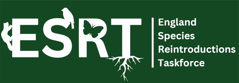 The contribution of Conservation Translocations to nature’s recovery – the work of the England Species Reintroductions Taskforce (ESRT)