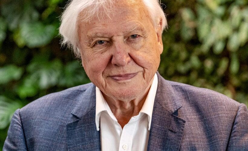 CCI Patron, Sir Attenborough, named a Champion of the Earth by the UN Environment Programme