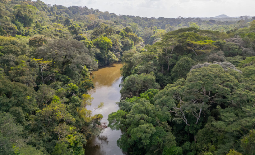 CCI Partners Celebrate New UNESCO Natural World Heritage Sites