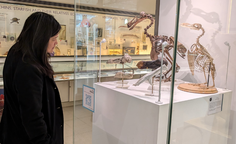 What can AI-enabled skeletons teach us about nature conservation?
