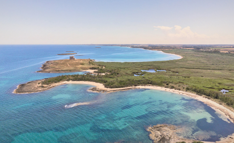 Seven Landmark Seascape Restoration Projects Set to Transform European Waters