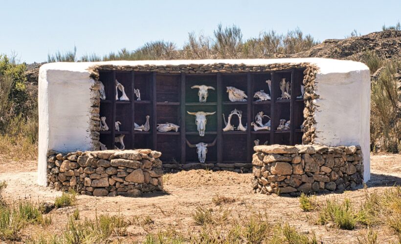 Connecting people and places: The power of art in environmental storytelling