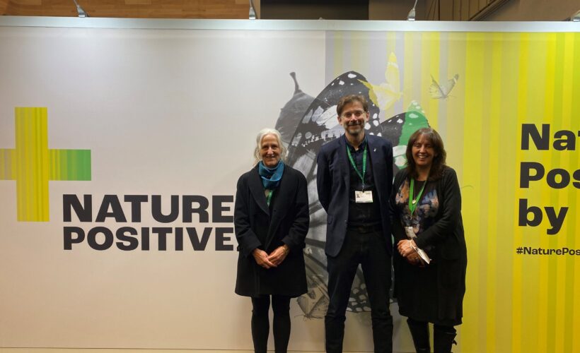 COP15: new Global Biodiversity Framework agreed