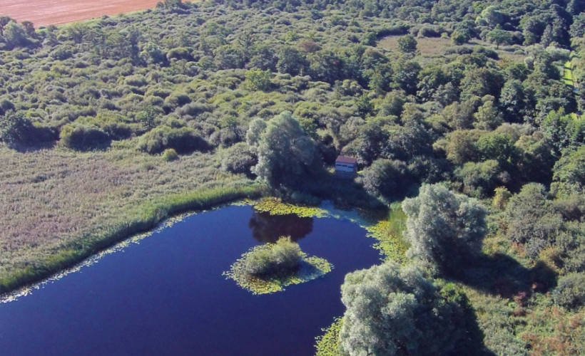 Why Local Nature Matters: Lessons from Wildlife BCN