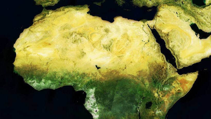 Reversing the declines of African‐Palaearctic migrants