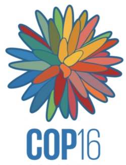 COP 16 Panel Discussion