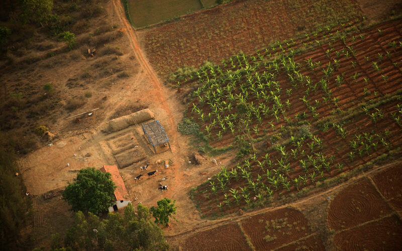 Farming for wild nature: integrating biodiversity and sustainable development in tropical agricultural landscapes in Africa