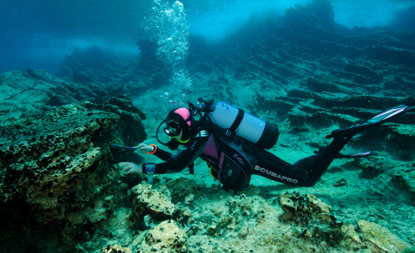 Vacancy: Endangered Landscapes Programme – Seascapes Programme Manager