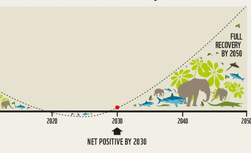 Nature positive: a game changer for economies and societies, but only if we get it right