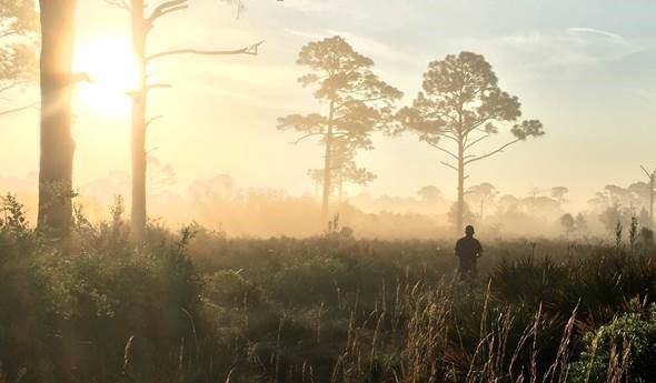 Cyber Museums: Born Digital Biodiversity Data to Engage Minds and Hearts