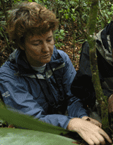 Dr Rosie Trevelyan