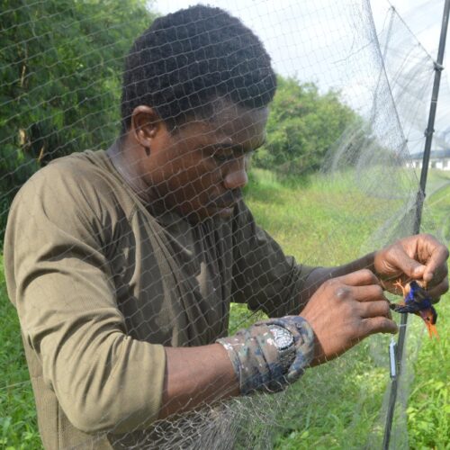 Dr Samuel Temidayo Osinubi (Dayo)