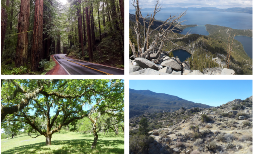 CCI Conservation Seminar: Prof David Ackerly