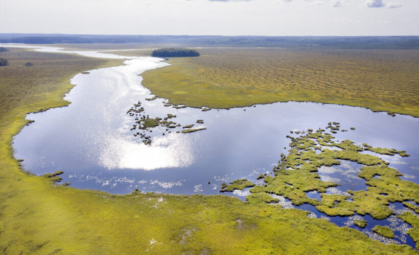 Endangered Landscapes Programme unites conservation organisations to overcome barriers to ecosystem restoration