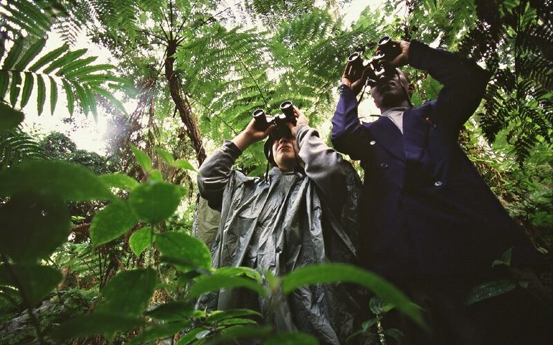 Conservation Seminar: Celebrating CCI alumni