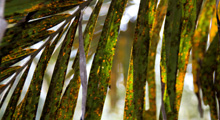 Embedding environmental sustainability in the start-up ecosystem