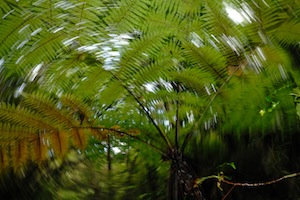 Beyond win-win: interrogating ecosystem services dynamics