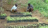 Integrating socio-economic data to improve the design and impact of REDD+ schemes