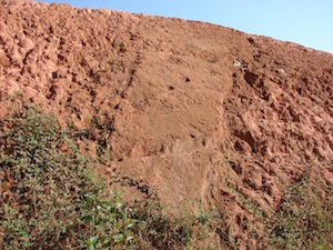 How can incentives for soil carbon management contribute to food security and biodiversity conservation?