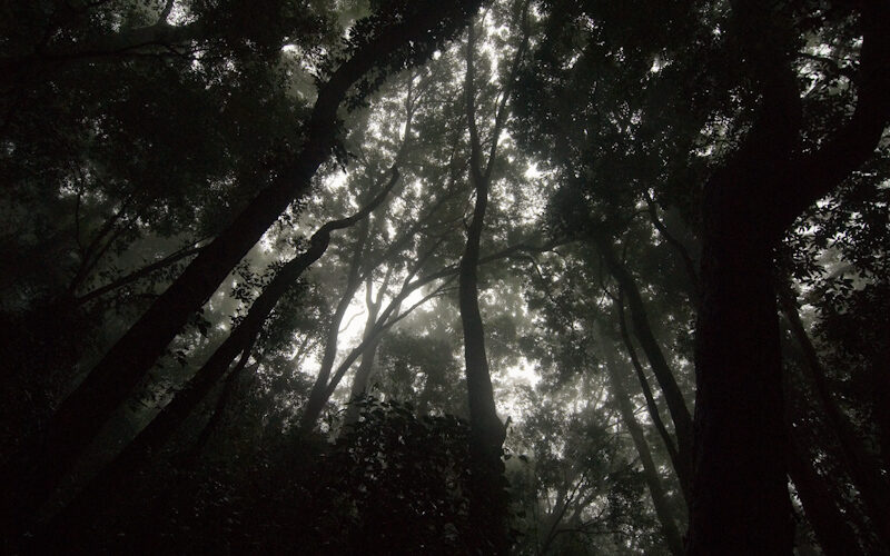 Trends and gaps in protection of the world’s biodiversity