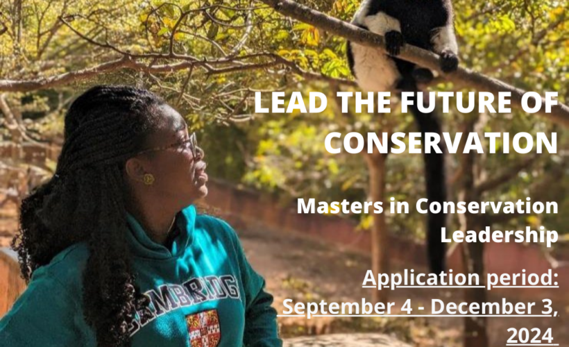 Applications Open for Masters in Conservation Leadership 2025