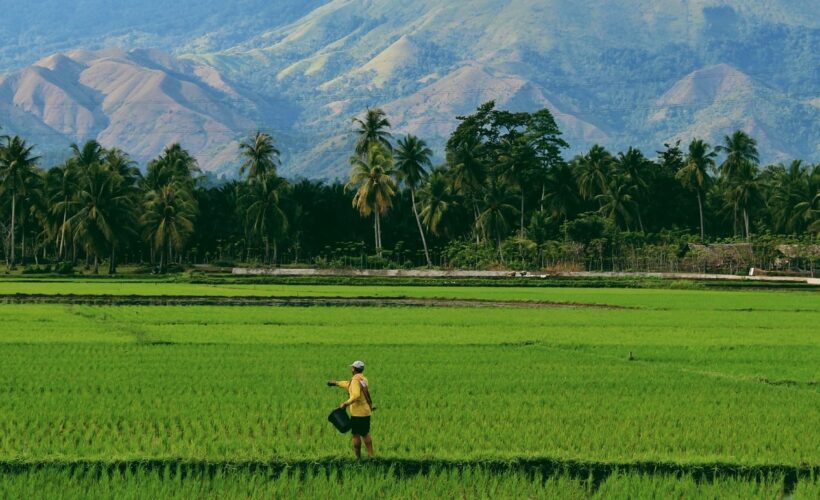 Developing next-generation tools to predict the biodiversity impacts of feeding 10 billion people
