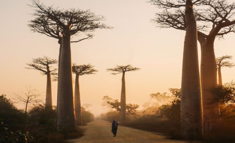 Conservation in the Climate Emergency
