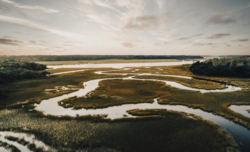Where can collaboration between CCI partners add most value to global restoration efforts?