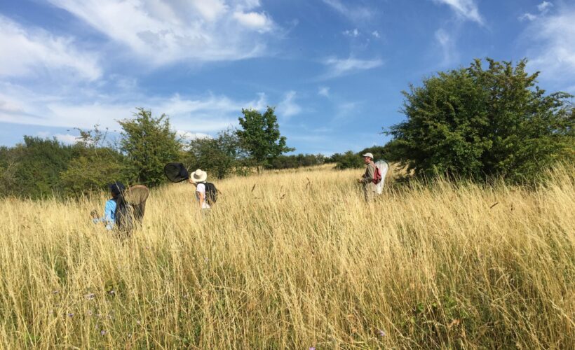 Latest Collaborative Fund for Conservation projects announced