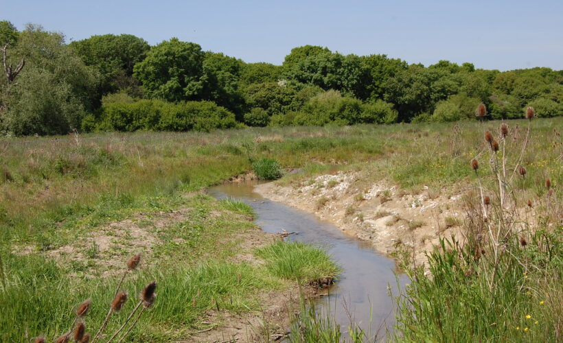 ‘Owned by Everyone’ Chalk Streams Conference Closing Statement 2023