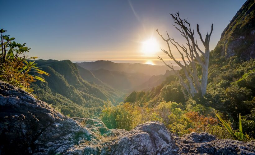 Conservation seminar: Will the Global Commons determine our future?