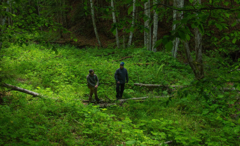 From degradation to restoration: Measuring six years of progress