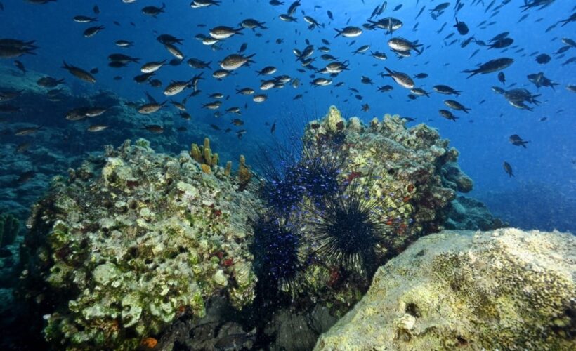 Collaborative Fund project kickstarts fresh era in fishing policy