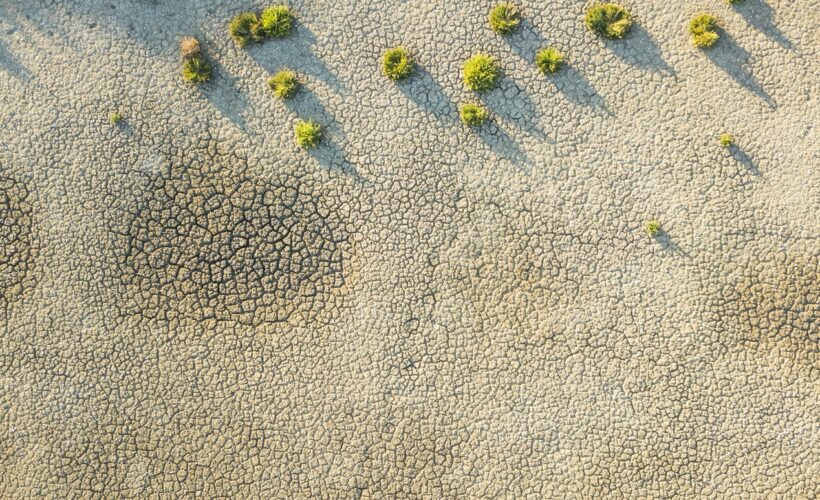 The illusive quest for science to make a difference