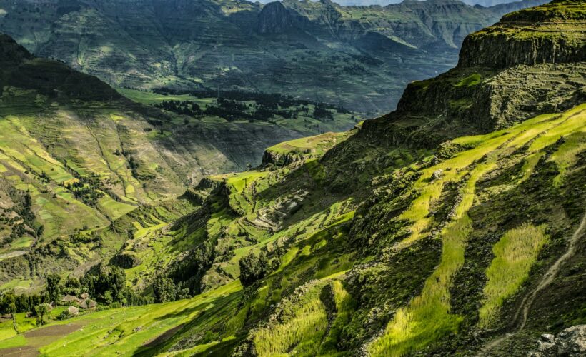 Conservation Seminar: Unifying the conservation of wild and agrobiodiversity