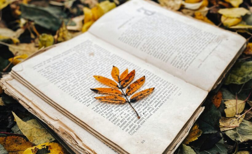 The Rialto Nature & Place Poetry Competition Readings