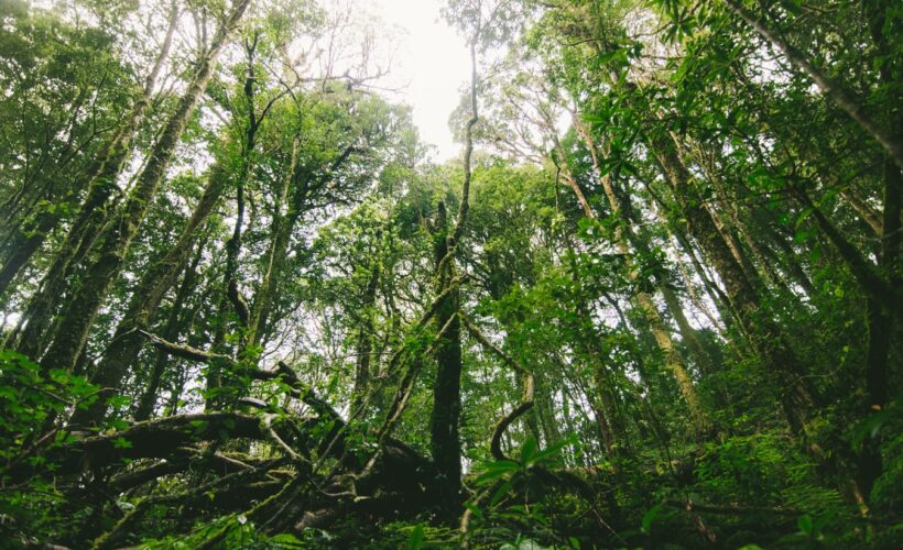 The Human Enterprise on a Changing Planet