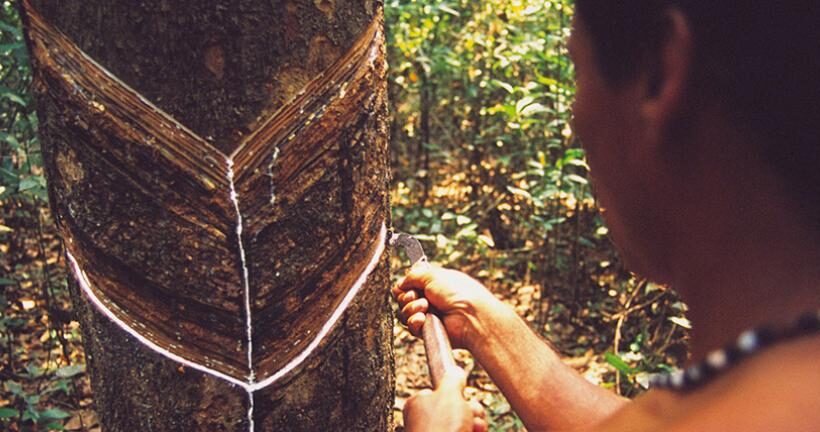 A new way of thinking about the economy could help protect the Amazon, and help its people thrive