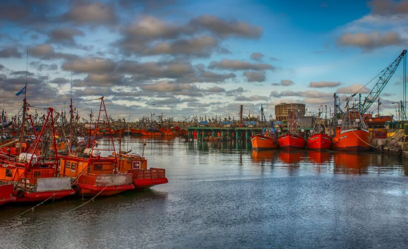 Conservation Seminar: Interdisciplinary ocean and fisheries economics: Evaluating the potential benefits of implementing the 30X30 target for marine protection