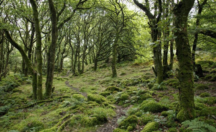 Conservation Seminar: A social-ecological systems approach to conservation and management