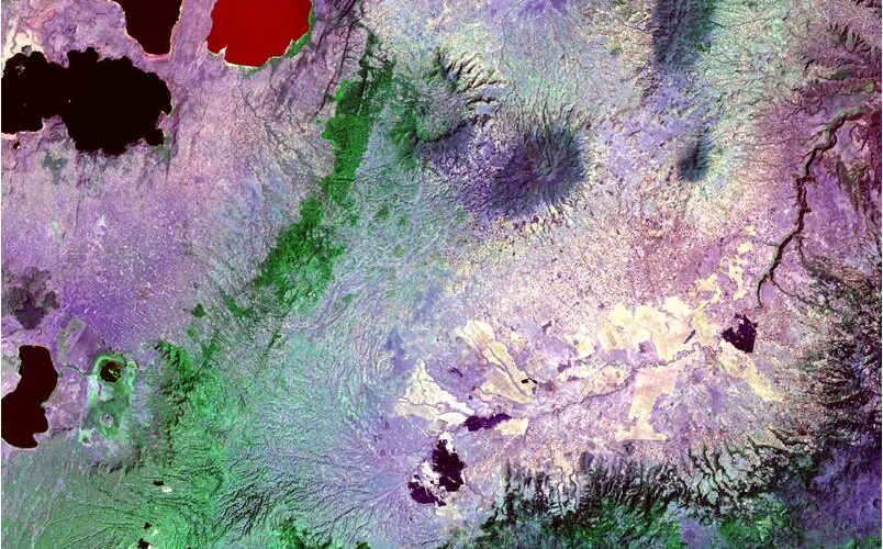What do conservation practitioners want from remote sensing?