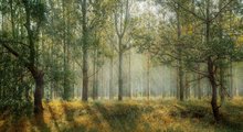 Identifying globally important sites for life on earth: scoping of Key Biodiversity Areas