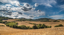 Biodiversity and natural capital